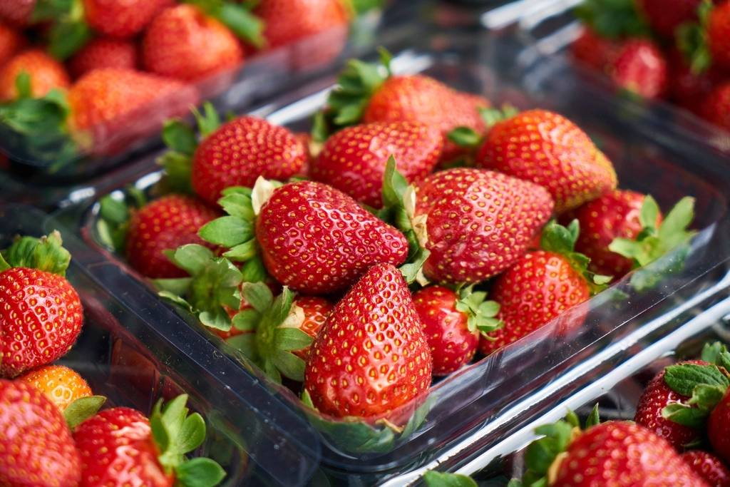 Fresh berries and seasonal fruit
